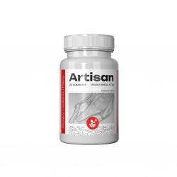 Artisan Low Price