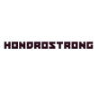 Hondrostrong low price