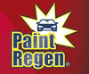 Paint Regen 2x1 a 1.007 CZK
