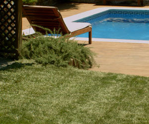 Aquagrazz a 49,99€