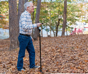 Wellpro Walking Stick a 59,99€