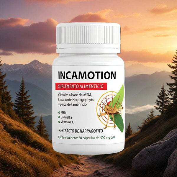 IncaMotion