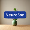 Neuroson