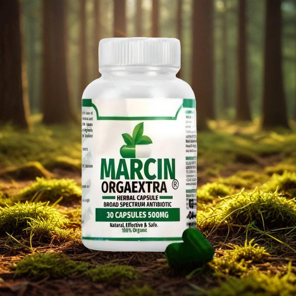 Marcin Orgaextra LOW