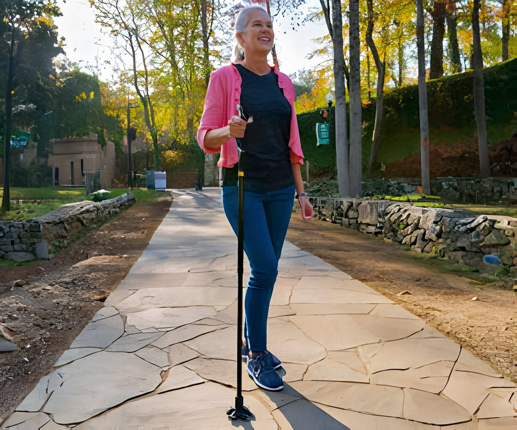 Wellpro Walking Stick a 1.222 CZK