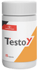 TESTOY